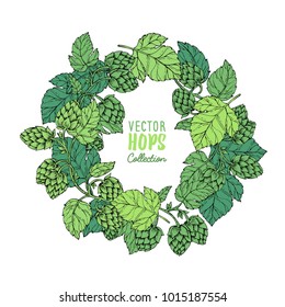 Pancarta de lúpulo de cerveza. Esbozos de planta de lúpulo, rama con hojas en estilo de grabado. Imprime la tarjeta de diseño circular. Ilustración vectorial de ingredientes de cerveza. Estilo dibujado a mano