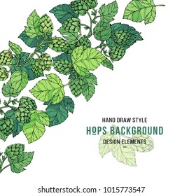 Beer hop banner. Sketches of hop plant, branch with leaves in engraving style. Hops circle design card. Beer ingredients vector illustration. Hand drawn style