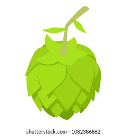 Beer hop icon. Isometric of beer hop vector icon for web design isolated on white background