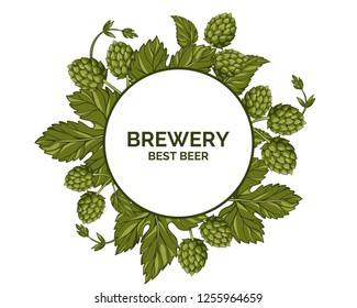 beer hop illustration. Colored banner with beer hops and leafs.