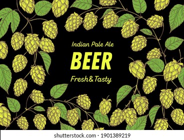 Beer hop illustration. Craft beer IPA hand drawn design. Beer ingredients vector illustration.