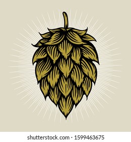 Beer hop illustration in engraving style. Design element for logo, label, emblem, sign, poster, label. Vector illustration