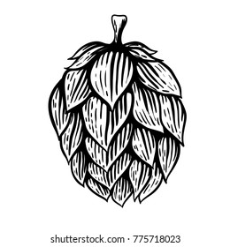 Beer hop illustration in engraving style isolated on white background. Design element for logo, label, emblem, sign, poster, label. Vector illustration