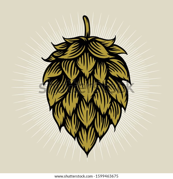 Beer hop illustration in engraving style.\
Design element for logo, label, emblem, sign, poster, label. Vector\
illustration