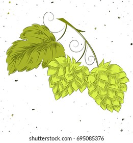 beer hop, intoxicant, freehand drawing, vector illustration, logo, vintage style