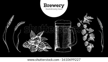 Beer, Hop and Malt vector illustration. Craft beer packaging illustration. Vintage elements. Brewing beer. Hand drawn sketch, retro illustration.