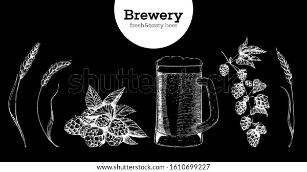 ビール ホップ 麦芽のベクターイラスト 地ビールの包装イラスト ビンテージエレメント ビールの醸造 手描きのスケッチ レトロなイラスト のベクター画像素材 ロイヤリティフリー