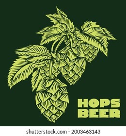 beer hop object illustration for beer label logo and beer package label purposes