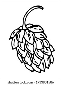 Beer hop, outline. Design element for poster, card, banner. Vector illustration october fest