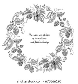 Beer hop round frame sketch composition hand drawn branches with leaves and flowers black and white vector illustration