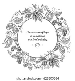 Beer hop round wreath sketch composition with beautiful cartoons of blooms and inscription in the center about using of this herb hand drawing vector illustration