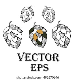 Beer and Hop set. Vector illustration of branch. Sketch design. Hand drawn illustration for print, decoration, image, design, label, Pub menu.Cartoon.Oktoberfest Concept with Ears of Barley