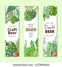 Beer hop vertical banner hand drawn set. Vector green background, beautiful banner for social media, blogs, or advertisements. Hop plant hand drawn illustration.