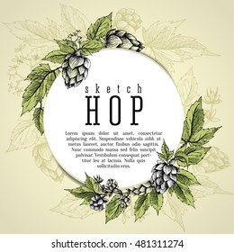 Beer hops branch round frame hand drawn vector illustration with leaves, cones and hops flowers, color sketch and engraving design. All element isolated.