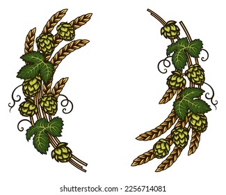 Beer hops branches with wheat barley ears, leaves and hop cones. Elements for brewery design,  beer production,  pub and bar decoration. Hand drawn vector illustration isolated on white background.