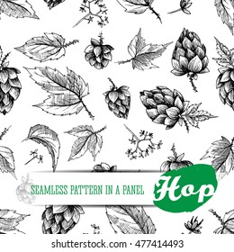 Beer hops seamless pattern of hand drawn cones and leaves, black and white background, sketch and engraving design. All element isolated.