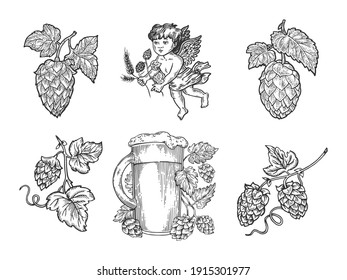 Beer hops set sketch engraving vector illustration. T-shirt apparel print design. Scratch board imitation. Black and white hand drawn image.