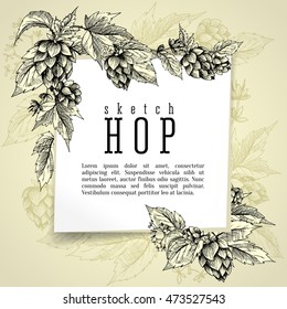 Beer hops square frame hand drawn branches with leaves, cones and flowers, color sketch and engraving design plant. All element isolated. Common hop branch.