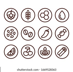 Beer Ingredient Labels Icon Set. Craft Beer Brewing Spices And Flavors. Simple Line Icons Collection.