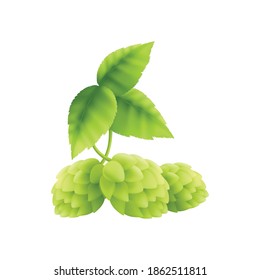 Beer ingredient realistic composition with ripe hop plant on blank background vector illustration