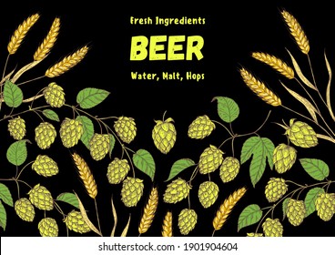 Beer ingredients vector illustration. Hops and barley, malt. Brewery design template. Beer hop illustration. Hand drawn design. Beer ingredients vector illustration.