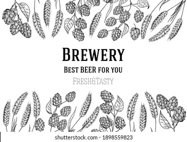 Beer ingredients vector illustration.	 Vintage design. Brewery design template.  Beer hop illustration. Hand drawn sketch design. 