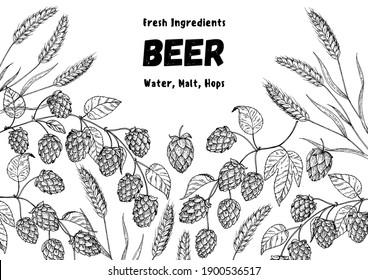 Ilustración vectorial de ingredientes de cerveza. Diseño de época. Plantilla de diseño de cervecería. Ilustración del salto de cerveza. Diseño de boceto dibujado a mano.
