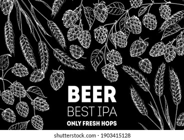 Beer ingredients vector illustration. Vintage design. Brewery design template. Beer hop illustration. Hand drawn sketch design.