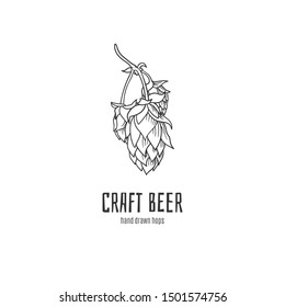 Beer logo hand drawn hops. Humulus lupulus badge, banner, flyer, poster for beer festival etc. Stock vector