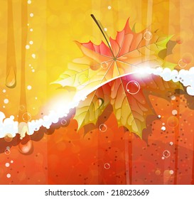 Beer mug with foam and autumn leaf close up Oktoberfest background
