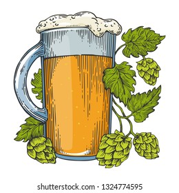Beer mug and hops plant color sketch engraving vector illustration. Scratch board style imitation. Black and white hand drawn image.