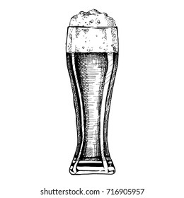 Beer in pilsner glass. Vector illustration of weizen in ink hand drawn style. isolated on white.