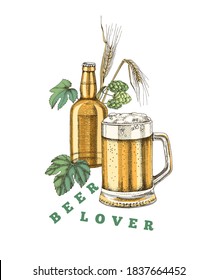 Beer poster template with hand drawn mug, bottle, wheat and hop branches. Vector illustration