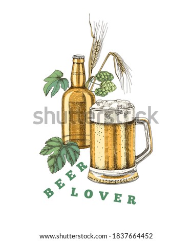 Beer poster template with hand drawn mug, bottle, wheat and hop branches. Vector illustration