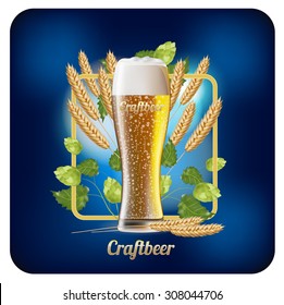 Beer poster vector template. Glass of Beer  Glasses of Bear, Ears of Wheat , Hops, EPS 10