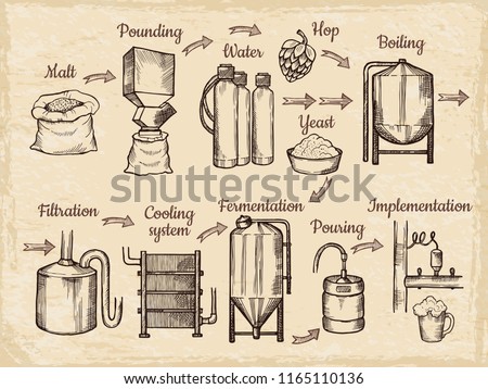 Beer production steps. Hand drawn pictures of brewery. Vector beer brewery, alcohol drink process, brewing equipment illustration