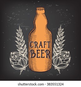 Beer restaurant brochure vector, alcohol menu design. Vector bar template with hand-drawn graphic. Beer flyer.