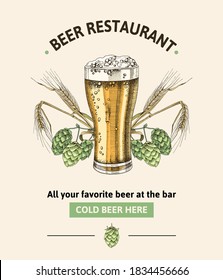 Beer restaurant poster template with hand drawn mug, wheat and hop branches. Vector illustration