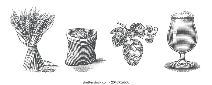 Beer set. Barley malt in burlap bag, sheaf of barley, hop and beer pint. Hand drawn engraving style illustrations.