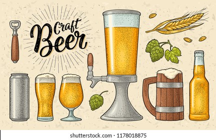 Beer set with mug, glass, can, tower, bottle, hop with leaf, ear of wheat. Vintage color vector engraving illustration isolated on beige spotted background. For labels, packaging, poster