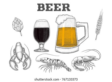 beer set on white background