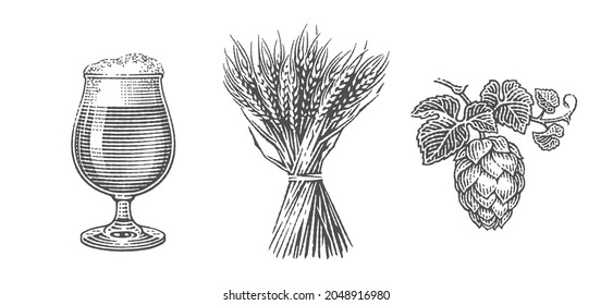 Beer set. Sheaf of barley, hops and beer pint. Hand drawn engraving style illustrations.