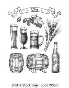 Beer set. Vector illustration of glasses and mug, hops, malt, barrels and bottle. Isolated on white background.
