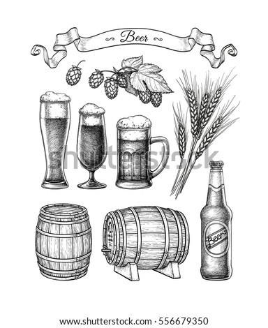 Beer set. Vector illustration of glasses and mug, hops, malt, barrels and bottle. Isolated on white background.