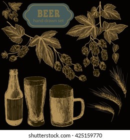 Beer set. Vector illustration of beer and sausages. Raw material for brewing: branch of hops and ears of barley. Pub menu.