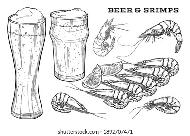 Beer and shrimp. Set of elements isolated on white background. Hand drawn vector illustration.