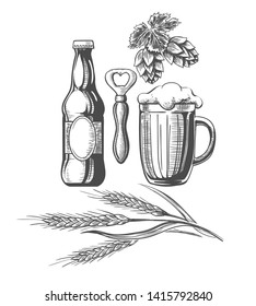 Beer sketch elements. Drawing hand drawn items, beer bottle and mug, bitter hop, vintage wheat ingredients for craft brewery graphics, vector illustration