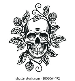 A beer skull vector illustration, a skull with hop branches isolated on white background.