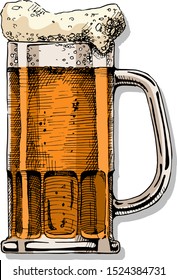 Beer in tankard glass. Vector color illustration in ink hand drawn style. isolated on white.