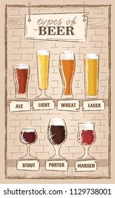 Beer types. A visual guide to types of beer. Various types of beer in recommended glasses. Vector illustration